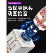 索爱MC1全民电视K歌家用KTV专用 无线蓝牙手机卡拉ok自带声卡儿童通用直播唱歌套装